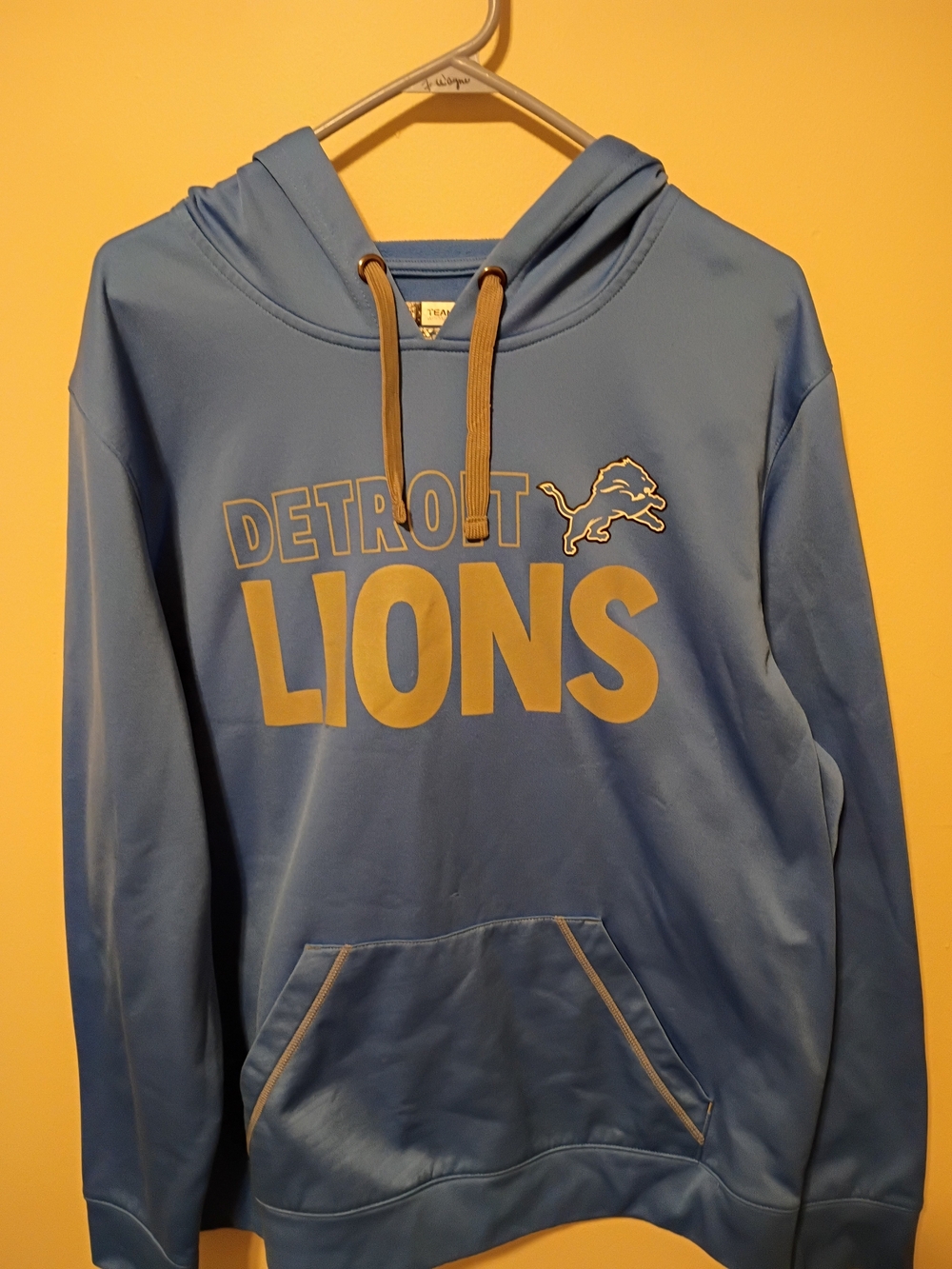 NFL Detroit Lions Light Blue and Gold Hoodie